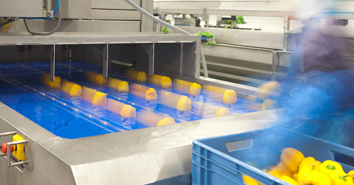 Enhancing efficiency in food processing - Smart sensoring and data ...