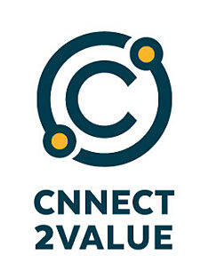 Connect2value logo RGB