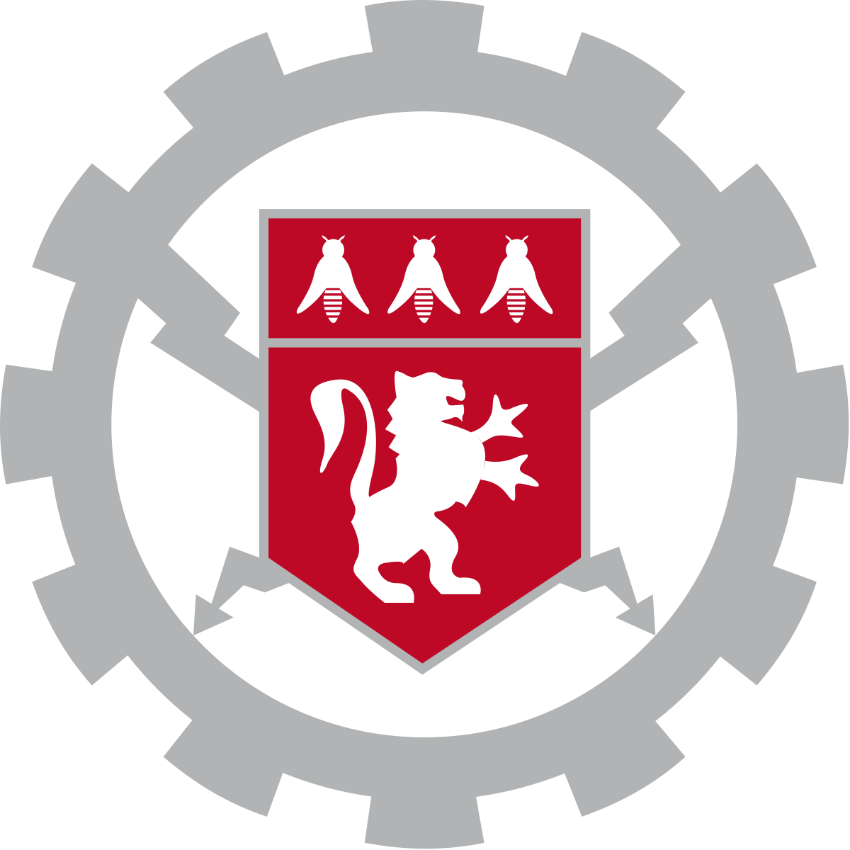 École centrale de Lyon