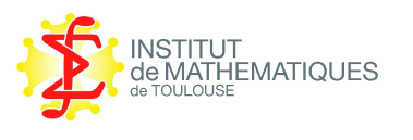 Institute of Mathematics Toulouse