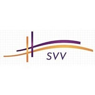 Strategic vision ventures LLC
